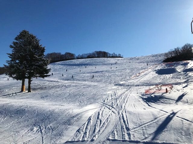 ダイナスティスキーリゾート