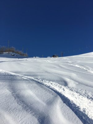 白馬岩岳のパウダー