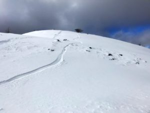 湯の丸山頂