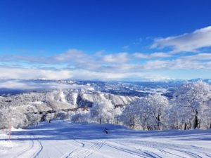 野沢温泉スキー場のコース