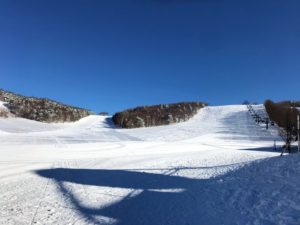 ダボスエリアにある根子岳